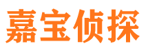 北海侦探公司